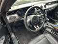 Ford Mustang Mustang 5,0 Ti-VCT V8 GT Cabrio Aut. GT Schwarz - thumbnail 5