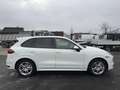 Porsche Cayenne S Diesel Weiß - thumbnail 5