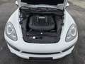 Porsche Cayenne S Diesel Weiß - thumbnail 9