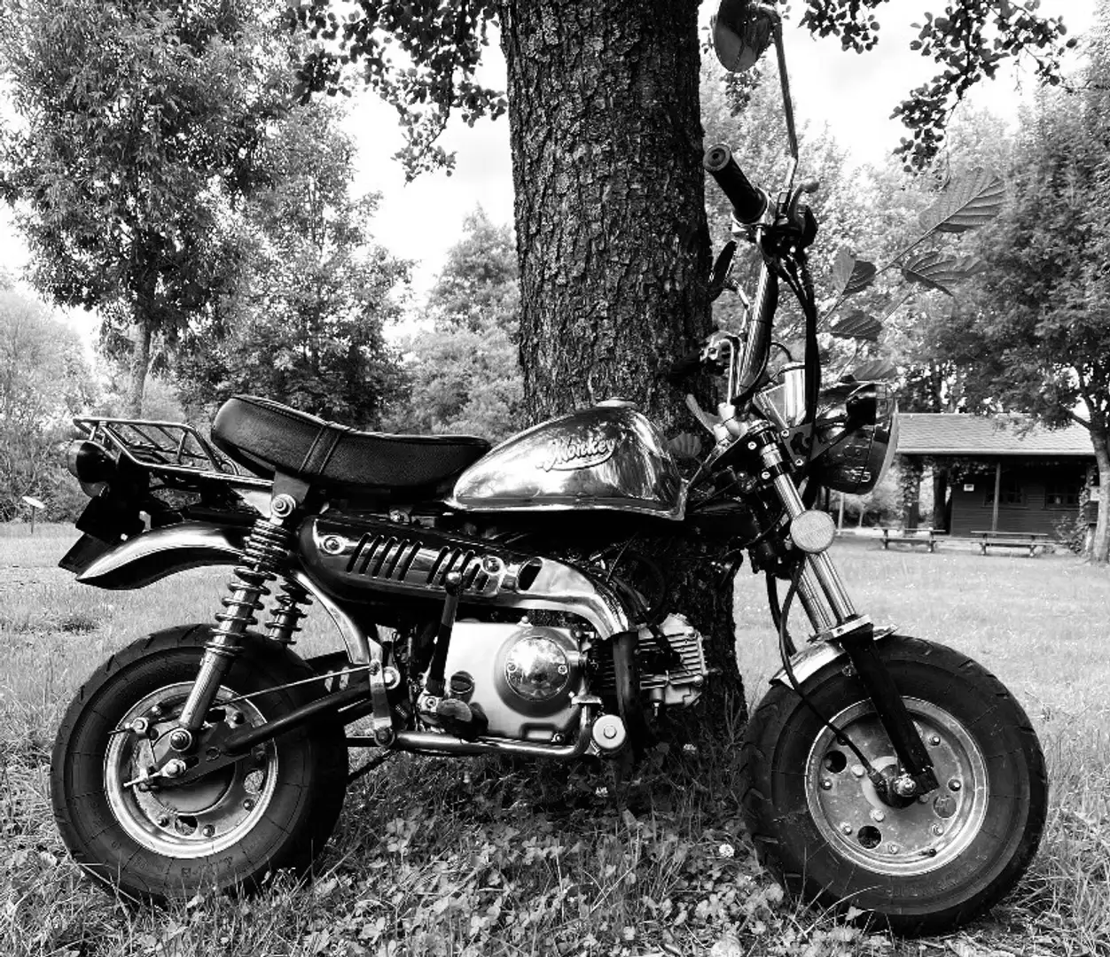 Skyteam Monkey 50 neuer 72ccm, Breitreifen,besserer Lenker, Extras Schwarz - 1