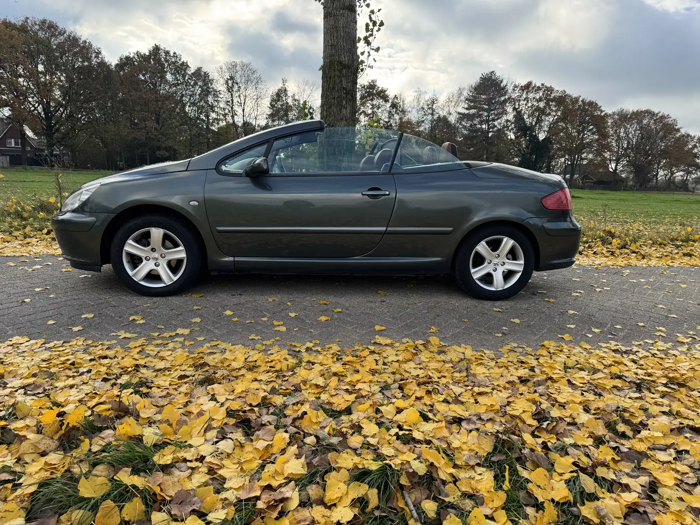 Peugeot 307 2.0-16V CC Automaat Grijs - 2