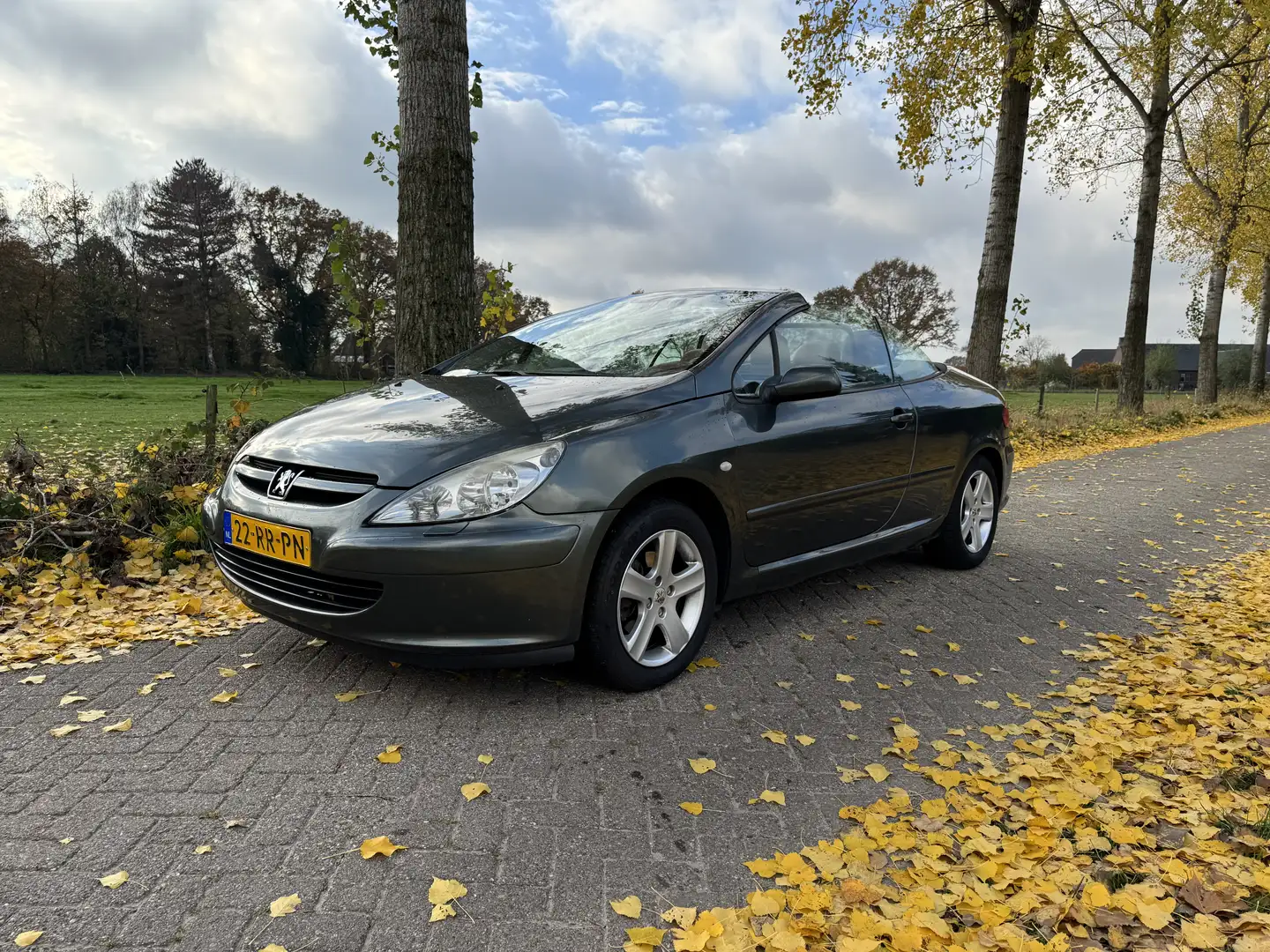 Peugeot 307 2.0-16V CC Automaat Grijs - 1