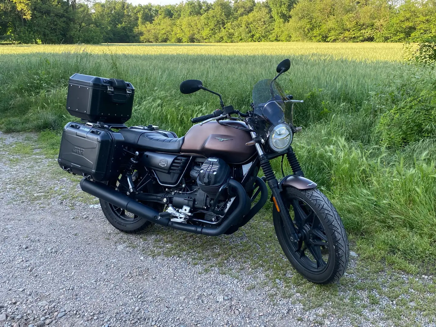 Moto Guzzi V 7 Stone Bronz - 2