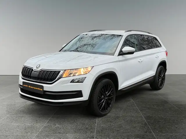 Skoda Kodiaq Skoda Kodiaq Active-7 Sitzer-Navi-PDC