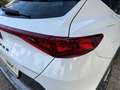 CUPRA Formentor 2.0 TDI 4Drive DSG TOP VIEW KAMERA NAVI SHZ FULL L Weiß - thumbnail 12