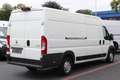 Peugeot Boxer 35 L4H2 160 Klima*Kamera*Tempomat*Holz Weiß - thumbnail 3