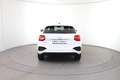 Audi Q2 30 TFSI admired Weiß - thumbnail 4