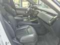 Land Rover Range Rover Sport P460e PHEV AWD Dynamic SE Aut. *Pano* *Meridian* Weiß - thumbnail 6