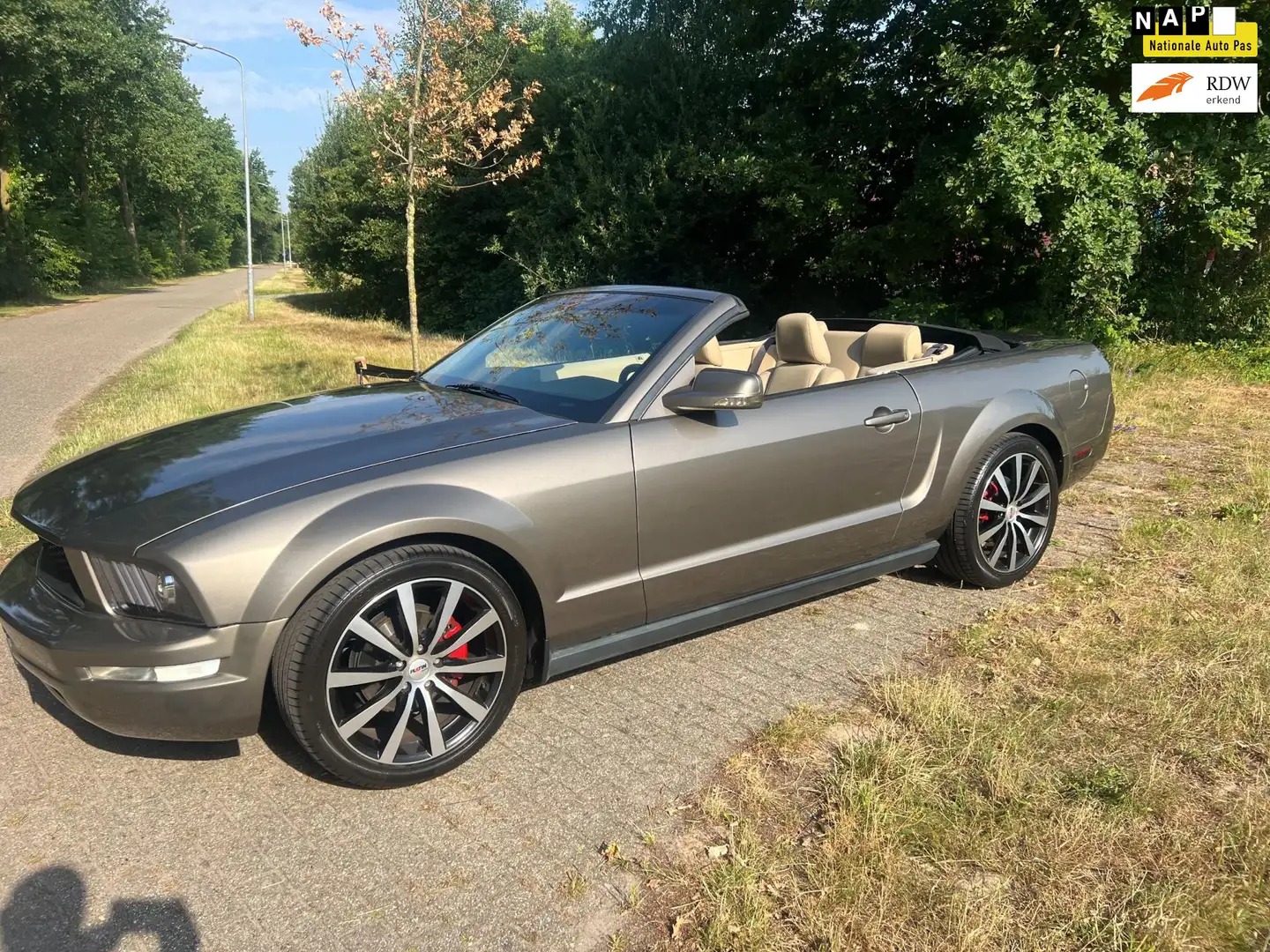 Ford Mustang FORD 4.0 6 CIL CABRIO ZEER MOOI Gris - 1