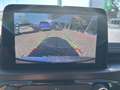 Ford Kuga 2.5 Duratec Plug-in-Hybrid PHEV Vignale (EURO Gris - thumbnail 23