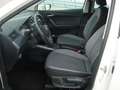 SEAT Arona 1.0 TSI 81kW Style,DSG-Automatik,51Tkm. Weiß - thumbnail 11