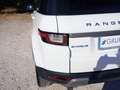 Land Rover Range Rover Evoque Range Rover Evoque I 2016 Dies Range Rover Evoque Bianco - thumbnail 9