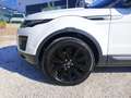 Land Rover Range Rover Evoque Range Rover Evoque I 2016 Dies Range Rover Evoque Bianco - thumbnail 10