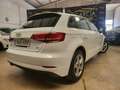 Audi A3 Sportback 1.6TDI Sport Edition 85kW Wit - thumbnail 3