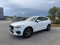 Volvo XC60 XC 60 D5 DPF ALLRAD *AHK*R-DESIGN*TOPAUSTATTUNG* Weiß - thumbnail 2