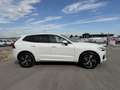 Volvo XC60 XC 60 D5 DPF ALLRAD *AHK*R-DESIGN*TOPAUSTATTUNG* Weiß - thumbnail 6