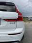 Volvo XC60 XC 60 D5 DPF ALLRAD *AHK*R-DESIGN*TOPAUSTATTUNG* Weiß - thumbnail 12