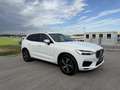 Volvo XC60 XC 60 D5 DPF ALLRAD *AHK*R-DESIGN*TOPAUSTATTUNG* Weiß - thumbnail 5