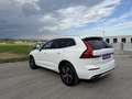 Volvo XC60 XC 60 D5 DPF ALLRAD *AHK*R-DESIGN*TOPAUSTATTUNG* Weiß - thumbnail 7