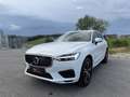 Volvo XC60 XC 60 D5 DPF ALLRAD *AHK*R-DESIGN*TOPAUSTATTUNG* Weiß - thumbnail 1