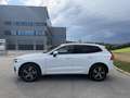 Volvo XC60 XC 60 D5 DPF ALLRAD *AHK*R-DESIGN*TOPAUSTATTUNG* Weiß - thumbnail 3