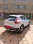 Volvo XC40 D3 Geartronic Business Plus UNICO PROPRIETARIO Grigio - thumbnail 4