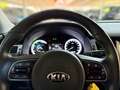 Kia Niro KIA Niro 1.6 Hybrid DCT Vision Plus Last Kamera Blau - thumbnail 9