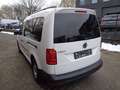 Volkswagen Caddy 2.0 TDI, DSG, Klimatr., PDC, SHZ Weiß - thumbnail 4