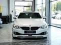 Alpina D4 Biturbo Coupe 20LM Glasdach H/K HUD Wit - thumbnail 6