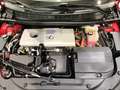 Lexus CT 200h Sport Edition Rouge - thumbnail 18