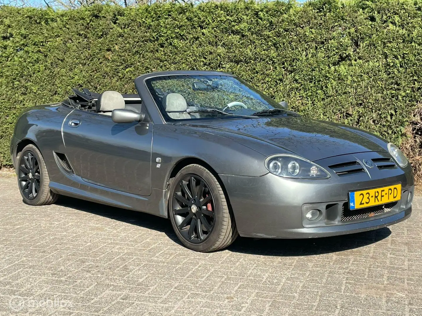 MG TF 1.8 TF 135 Oxford SE Сірий - 2