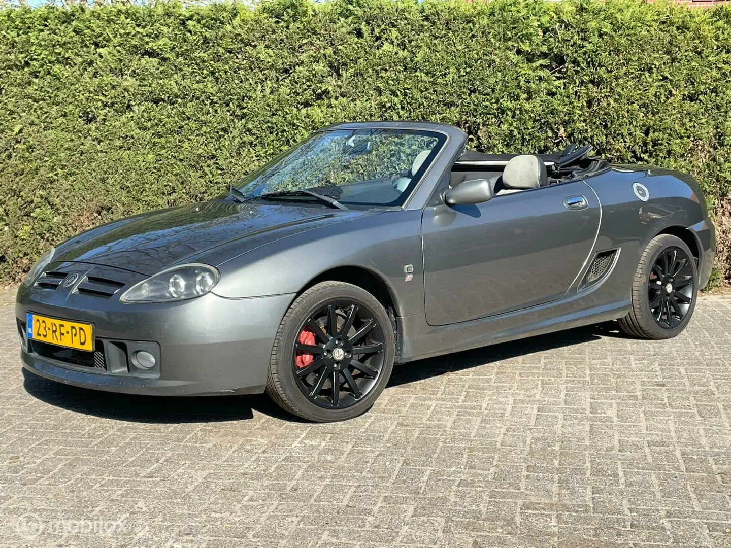 MG TF 1.8 TF 135 Oxford SE Сірий - 1
