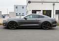 Ford Mustang 2.3 EcoBoost 314cv  (Fastback) Gris - thumbnail 14