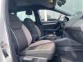 SEAT Ibiza 1.0 TSI Excellence Blanco - thumbnail 10