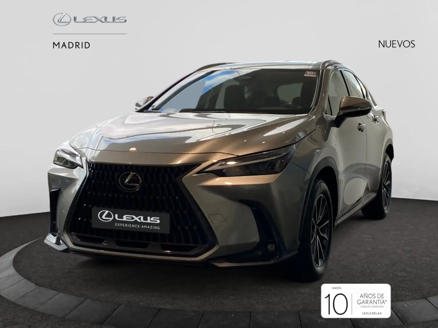 Lexus NX 350h Premium 2WD Gris - 2