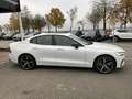 Volvo S60 Ultimate Dark B5 AWD HUD StandHZG Leder Digitales Weiß - thumbnail 6