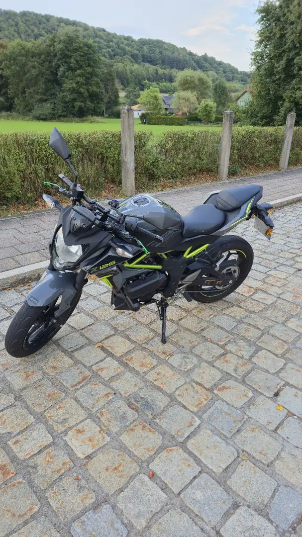 Kawasaki Z 125 Gris - 1