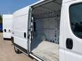 Fiat Ducato 35 LH2 2.2 mjt3 140cv serie 8 Белый - thumbnail 8