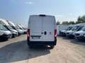Fiat Ducato 35 LH2 2.2 mjt3 140cv serie 8 Wit - thumbnail 5