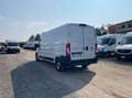 Fiat Ducato 35 LH2 2.2 mjt3 140cv serie 8 Weiß - thumbnail 4
