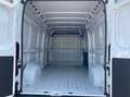 Fiat Ducato 35 LH2 2.2 mjt3 140cv serie 8 Wit - thumbnail 9
