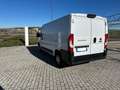 Fiat DUCATO 33 MH1 23 MTJ 140 CV Weiß - thumbnail 4