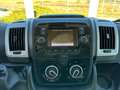 Fiat DUCATO 33 MH1 23 MTJ 140 CV Bianco - thumbnail 12