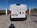 Fiat DUCATO 33 MH1 23 MTJ 140 CV Bianco - thumbnail 5