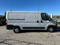 Fiat DUCATO 33 MH1 23 MTJ 140 CV Bianco - thumbnail 7