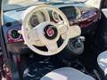 Fiat 500 500 1.0 hybrid Dolcevita 70cv PROMO SUMMER Lilla - thumbnail 8