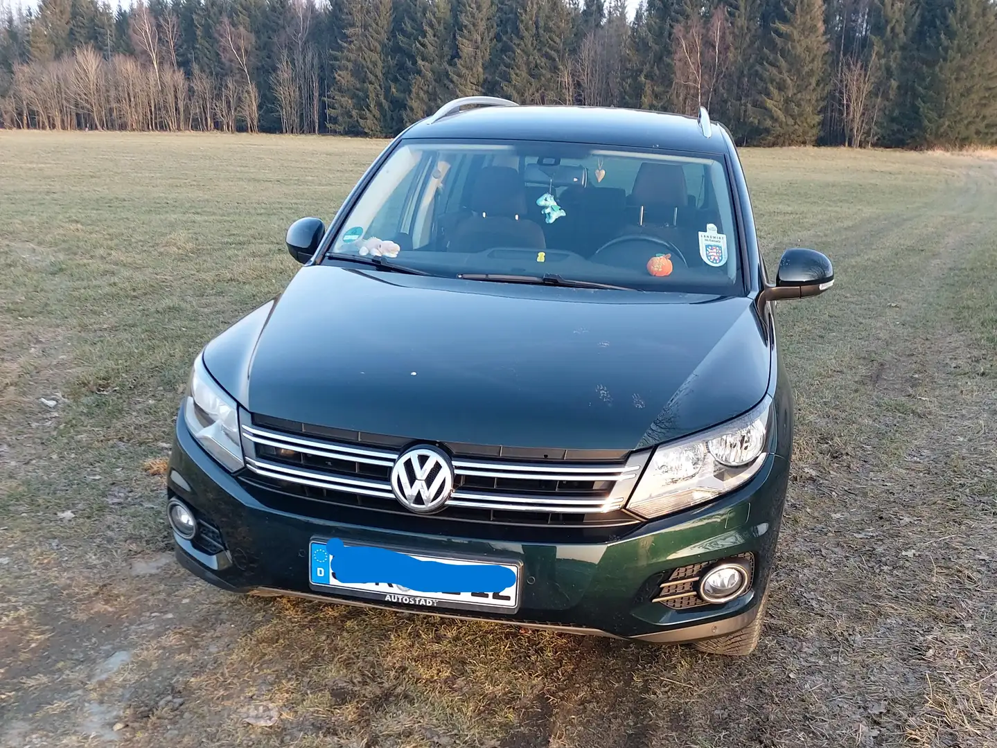 Volkswagen Tiguan Tiguan 2.0 TDI DPF 4Motion DSG Lounge Track Grün - 2
