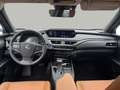 Lexus UX 250h Privilege Line AWD+360°+NAV Oranje - thumbnail 9