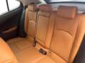 Lexus UX 250h Privilege Line AWD+360°+NAV Orange - thumbnail 8