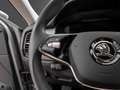 Skoda Kodiaq Clever 4x4 FamilyP. ACC SHZ V+H Standheiz Grau - thumbnail 15